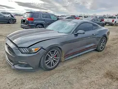 1FA6P8TH6H5202318 2017 FORD MUSTANG