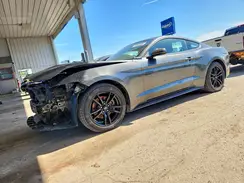 1FA6P8TH6H5202822 2017 FORD MUSTANG
