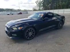1FA6P8TH6H5209026 2017 FORD MUSTANG