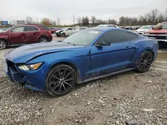 1FA6P8TH6H5244584 2017 FORD MUSTANG