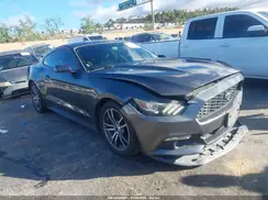 1FA6P8TH6H5281988 2017 FORD MUSTANG