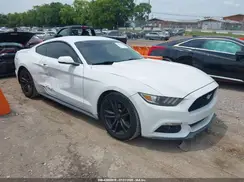 1FA6P8TH6H5282297 2017 FORD MUSTANG