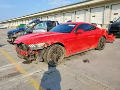 1FA6P8TH6H5282364 2017 FORD MUSTANG
