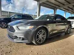 1FA6P8TH6H5295292 2017 FORD MUSTANG