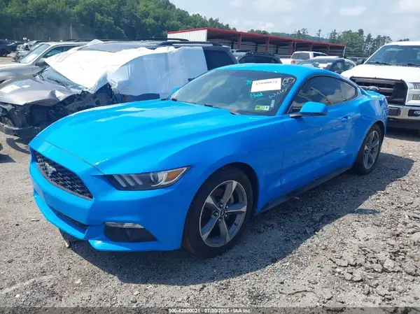 1FA6P8TH6H5306517 2017 FORD MUSTANG - Image 2