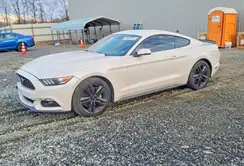1FA6P8TH6H5322118 2017 FORD MUSTANG