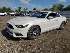 1FA6P8TH6H5356916 2017 FORD MUSTANG