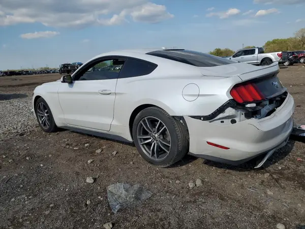 1FA6P8TH6H5356916 2017 FORD MUSTANG - Image 2