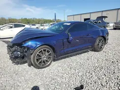 1FA6P8TH6J5183372 2018 FORD MUSTANG