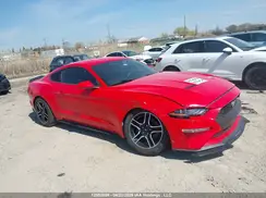 1FA6P8TH6K5105109 2019 FORD MUSTANG