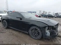 1FA6P8TH6K5105224 2019 FORD MUSTANG