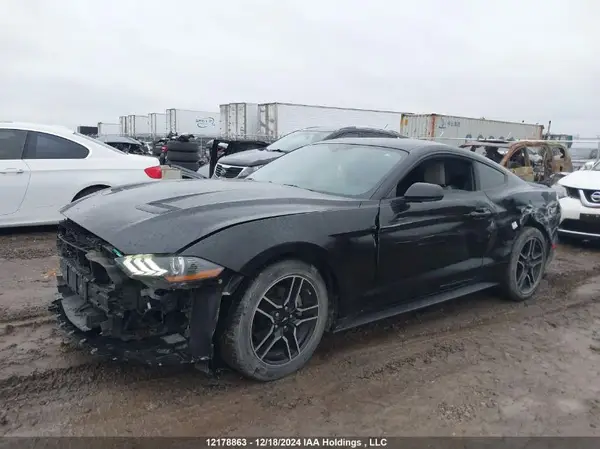1FA6P8TH6K5105224 2019 FORD MUSTANG - Image 2