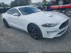 1FA6P8TH6K5105434 2019 FORD MUSTANG