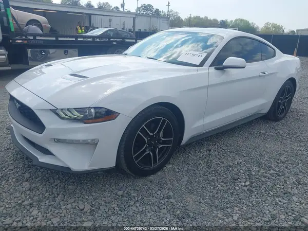 1FA6P8TH6K5105434 2019 FORD MUSTANG - Image 2