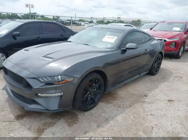1FA6P8TH6K5106082 2019 FORD MUSTANG - Image 2