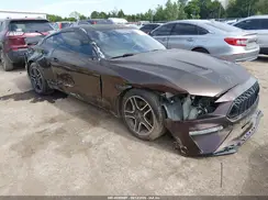 1FA6P8TH6K5106227 2019 FORD MUSTANG