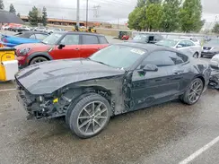 1FA6P8TH6K5106244 2019 FORD MUSTANG