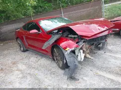 1FA6P8TH6K5106342 2019 FORD MUSTANG