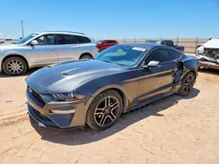 1FA6P8TH6K5111914 2019 FORD MUSTANG