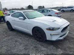 1FA6P8TH6K5112495 2019 FORD MUSTANG