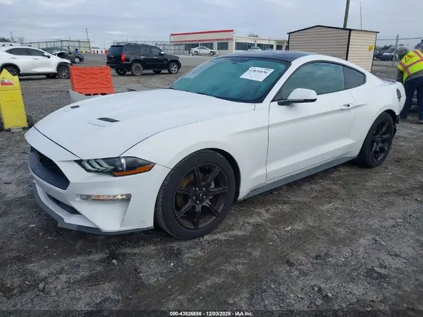 1FA6P8TH6K5112495 2019 FORD MUSTANG - Image 2