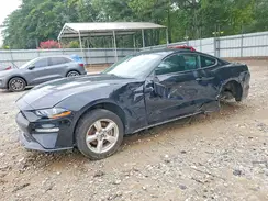 1FA6P8TH6K5116434 2019 FORD MUSTANG