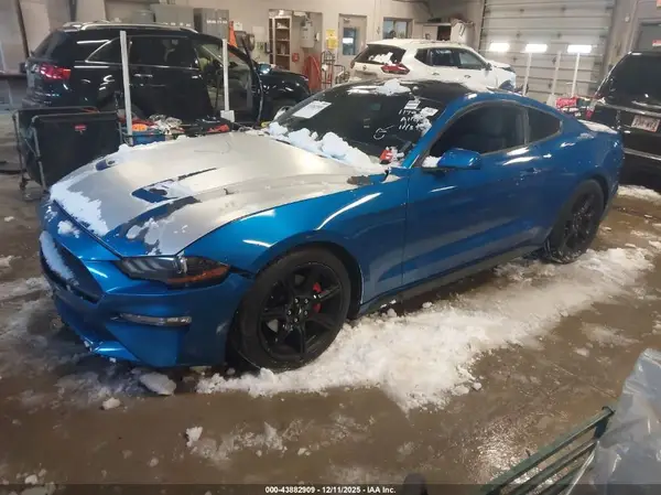 1FA6P8TH6K5117924 2019 FORD MUSTANG - Image 2