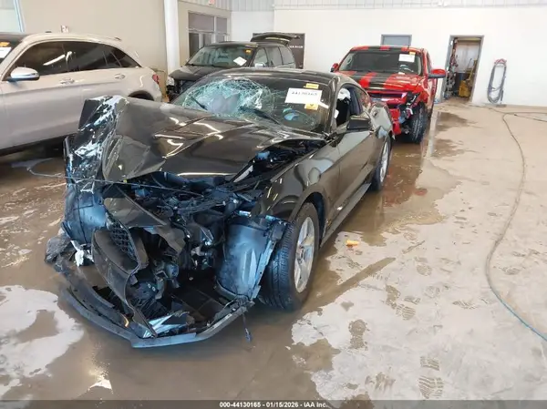 1FA6P8TH6K5141866 2019 FORD MUSTANG - Image 2