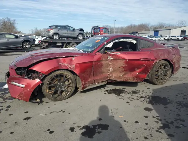 1FA6P8TH6K5146596 2019 FORD MUSTANG - Image 1