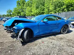 1FA6P8TH6K5152589 2019 FORD MUSTANG