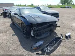 1FA6P8TH6K5154679 2019 FORD MUSTANG