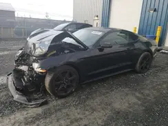 1FA6P8TH6K5154892 2019 FORD MUSTANG