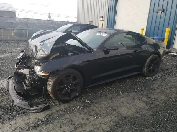 1FA6P8TH6K5154892 2019 FORD MUSTANG - Image 1