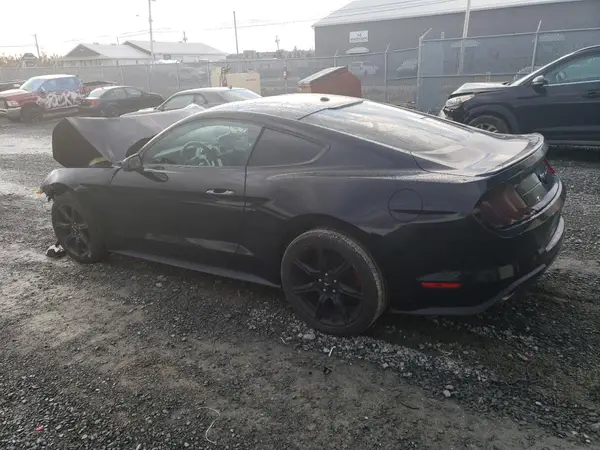 1FA6P8TH6K5154892 2019 FORD MUSTANG - Image 2