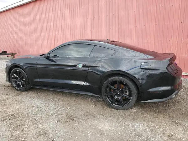 1FA6P8TH6K5160191 2019 FORD MUSTANG - Image 2