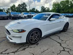 1FA6P8TH6K5166590 2019 FORD MUSTANG