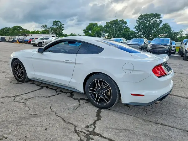 1FA6P8TH6K5166590 2019 FORD MUSTANG - Image 2