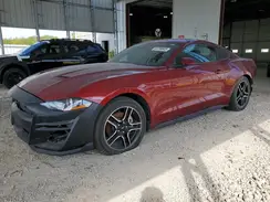1FA6P8TH6K5166671 2019 FORD MUSTANG