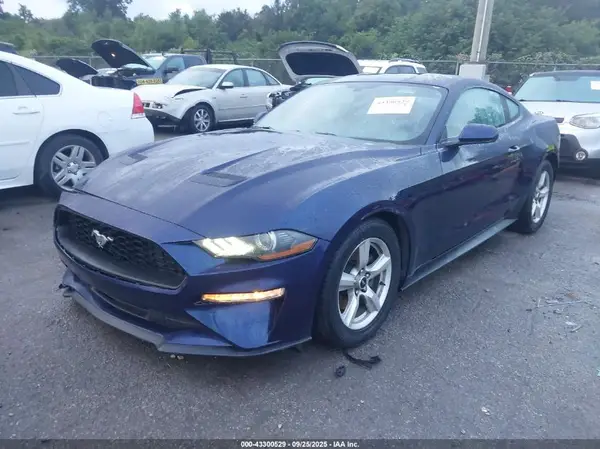 1FA6P8TH6K5166797 2019 FORD MUSTANG - Image 2