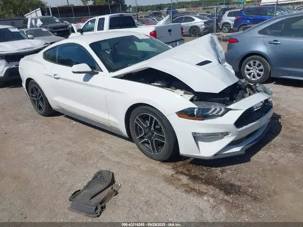 1FA6P8TH6K5172051 2019 FORD MUSTANG - Image 1