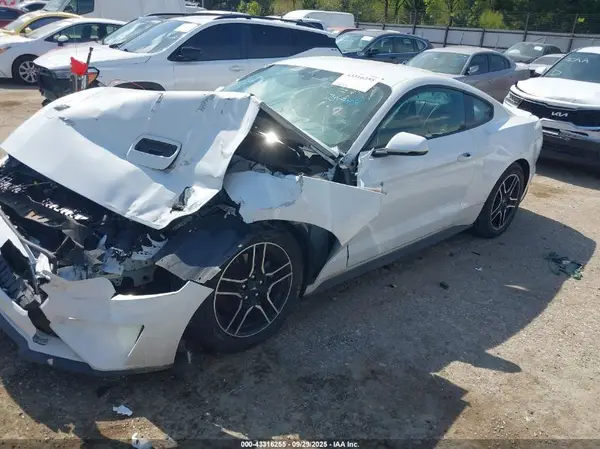 1FA6P8TH6K5172051 2019 FORD MUSTANG - Image 2
