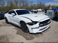 1FA6P8TH6K5172101 2019 FORD MUSTANG