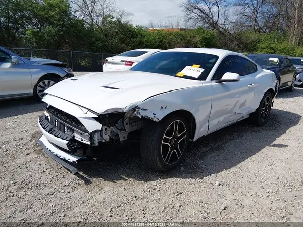 1FA6P8TH6K5172101 2019 FORD MUSTANG - Image 2