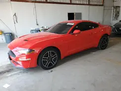 1FA6P8TH6K5172549 2019 FORD MUSTANG