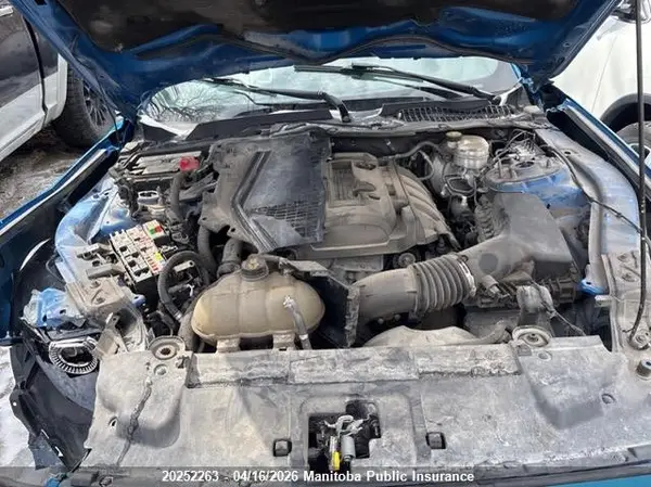 1FA6P8TH6K5172986 2019 FORD MUSTANG - Image 8