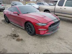 1FA6P8TH6K5173202 2019 FORD MUSTANG