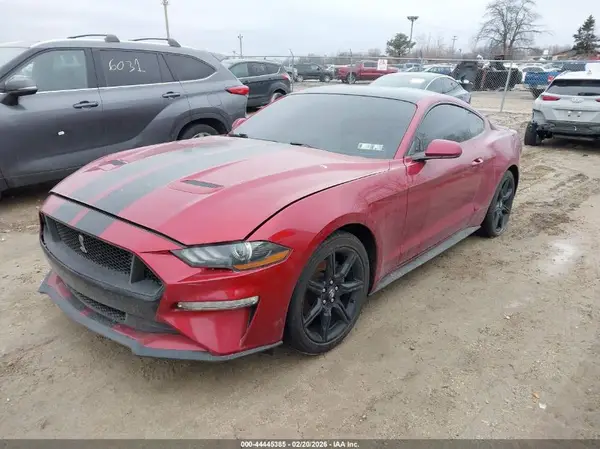 1FA6P8TH6K5173202 2019 FORD MUSTANG - Image 2