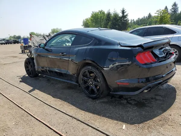 1FA6P8TH6K5175998 2019 FORD MUSTANG - Image 2