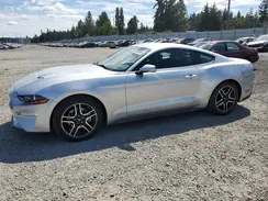 1FA6P8TH6K5184748 2019 FORD MUSTANG