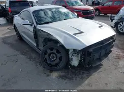 1FA6P8TH6K5186452 2019 FORD MUSTANG